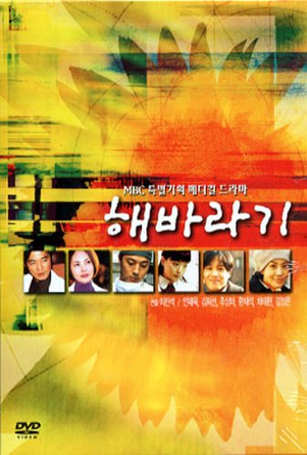 [DVD] 해바라기 - MBC 드라마 (5DVD/미개봉)