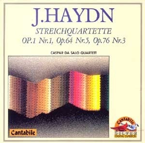 [중고] Caspar Da Salo Quartett / Haydn: String Quartet (srk5035)