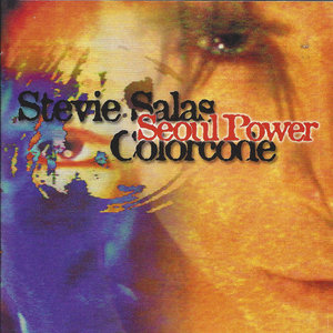 [중고] Stevie Salas Colorcode / Seoul Power