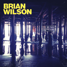 [중고] Brian Wilson / No Pier Pressure (Deluxe Edition)