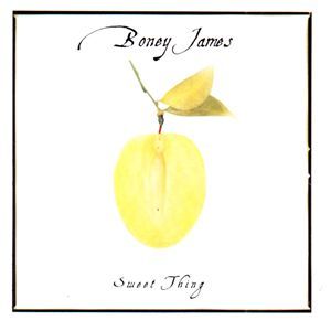 Boney James / Sweet Thing (미개봉)