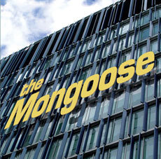 [중고] 몽구스 (Mongoose) / 3집 The Mongoose