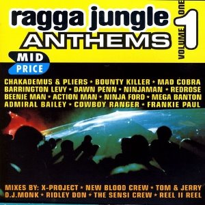 [중고] V.A. / Ragga Jungle Anthems Vol.1 (수입)