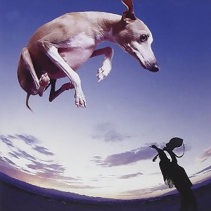 [중고] Paul Gilbert / Flying Dog (홍보용)