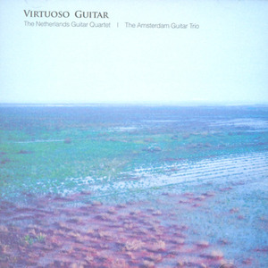 Netherlands Guitar Quartet &amp; Amsterdam Guitar Trio / Virtuoso Guitar (2CD/미개봉/dlcc0100)