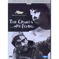 [중고] [DVD] Cranes Are Flying - 학이 난다