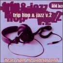 [중고] V.A. / Trip Hop And Jazz Vol. 2 (수입/홍보용)