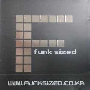 [중고] 펑크사이즈드 (Funksized) / Funksized (홍보용)