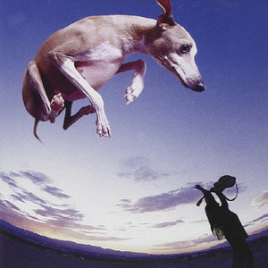 [중고] Paul Gilbert / Flying Dog