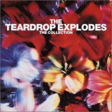 Teardrop Explodes / The Collection (미개봉)
