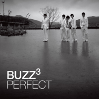 [중고] 버즈 (Buzz) / 3집 Perfect