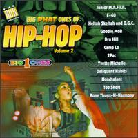 [중고] V.A. / Big Phat Ones Of Hip-Hop Vol.2 (수입)