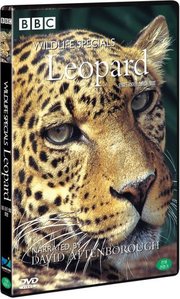 [중고] [DVD] BBC Wildlife Specials : Leopard - BBC 와일드라이프 스페셜: 표범