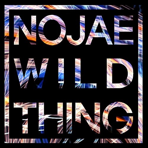 [중고] 노재 (Nojae) / Nojae&#039;s Wild Thing