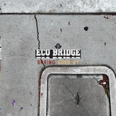 [중고] 에코 브릿지 (Eco Bridge) / Spring Goes By (Digipack/홍보용)