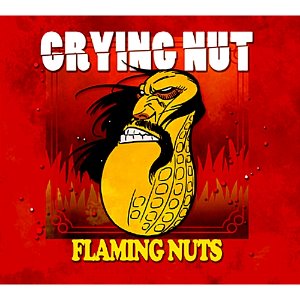 [중고] 크라잉 넛 (Crying Nut) / 7집 Flaming Nuts (Digipack)