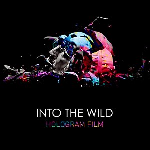 [중고] 홀로그램 필름 (Hologram Film) / 1집 Into The Wild