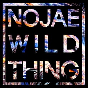 [중고] 노재 (Nojae) / Nojae&#039;s Wild Thing
