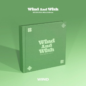 비투비 (BTOB) / 미니 12집 WIND AND WISH (WIND Ver/미개봉)