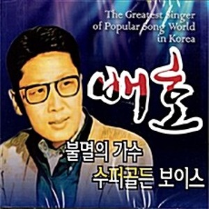 [중고] 배호 / 불멸의 가수 수퍼골든 보이스 (2CD)
