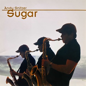 [중고] Andy Snitzer / Sugar