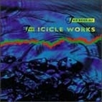 [중고] Icicle Works / The Best Of The Icicle Works (수입)