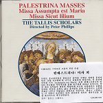 [중고] Peter Phillips, Tallis Scholars / Palestrina : Masses (수입/cdgim020)