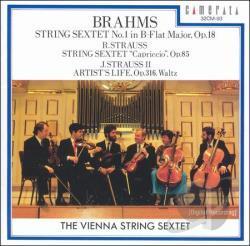 [중고] Vienna String Sextet / Brahms, R. Strauss, J. Strauss II: String Sextets (일본수입/32cm93)