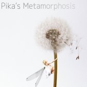 [중고] 피카 (Pika) / Pika&#039;s Metamorphosis (홍보용)