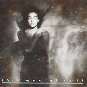 [중고] This Mortal Coil / It&#039;ll End In Tears (수입)