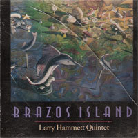 [중고] Larry Hammett Quintet / Brazos Island (수입)