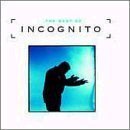[중고] Incognito / The Best Of Incognito