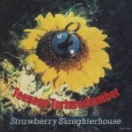 [중고] Strawberry Slaughterhouse / Teenage Torturechamber (일본수입)