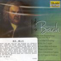 [중고] V.A. / The Best Of Bach (수입/cd80591)