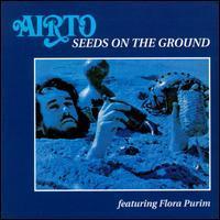 [중고] Airto / Seeds on the Ground (수입)