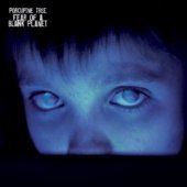 [중고] Porcupine Tree / Fear Of A Blank Planet (홍보용)