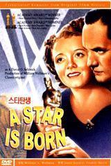 [DVD] A Star is Born - 스타탄생 (미개봉)