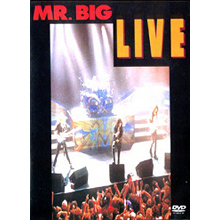 [중고] [DVD] Mr. Big / Live