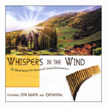 Worship On Panpipes / Whispers In The Wind (미개봉)