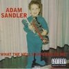 Adam Sandler / What The Hell Happened To Me! (수입/미개봉)
